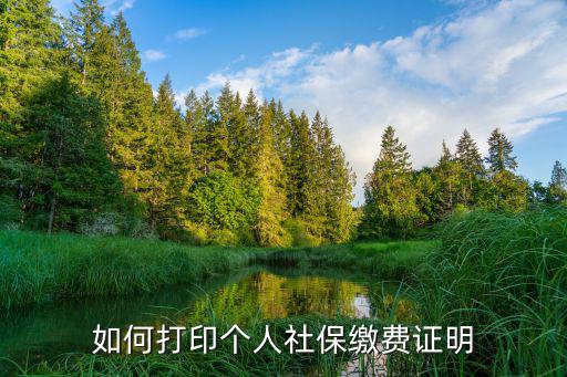 個人社保參保證明打印，社保證明是怎么打印的