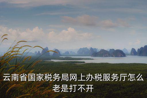 云南省國家稅務(wù)局網(wǎng)上辦稅服務(wù)廳怎么老是打不開
