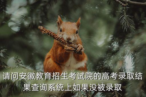 請問安徽教育招生考試院的高考錄取結(jié)果查詢系統(tǒng)上如果沒被錄取