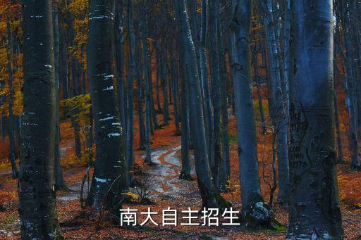 南大自主招生，南京大學(xué)自主招生有什么要求嗎