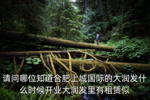 請問哪位知道合肥上城國際的大潤發(fā)什么時候開業(yè)大潤發(fā)里有租賃似