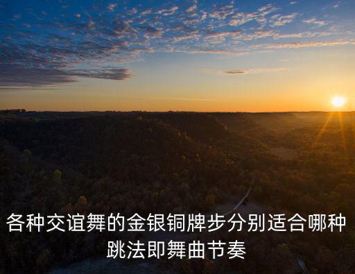 各種交誼舞的金銀銅牌步分別適合哪種跳法即舞曲節(jié)奏