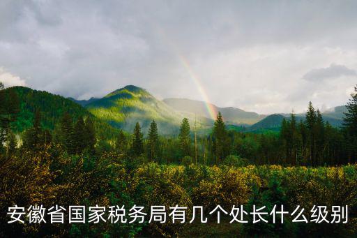安徽省國家稅務(wù)局有幾個處長什么級別
