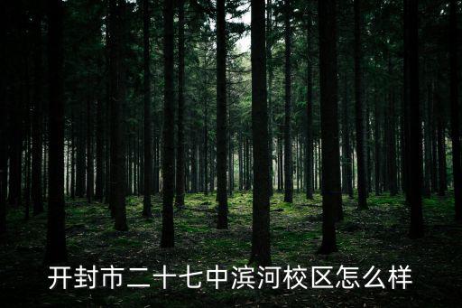 開封市二十七中濱河校區怎么樣