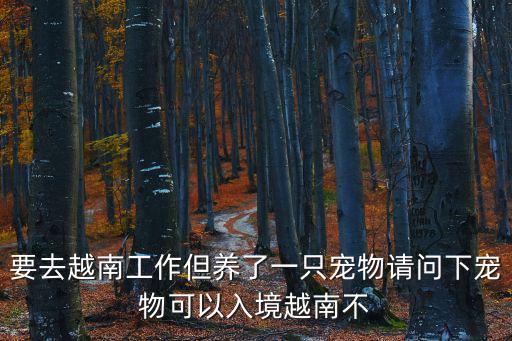 要去越南工作但養(yǎng)了一只寵物請問下寵物可以入境越南不