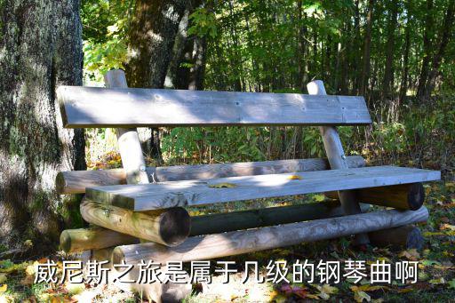 威尼斯之旅是屬于幾級(jí)的鋼琴曲啊