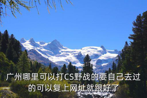 廣州cs野戰，廣州哪里可以打CS野戰的要自己去過的可以復上網址就跟好了
