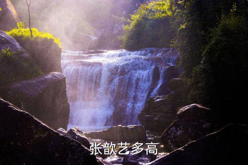 張欽藝，張歆藝身高