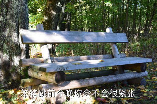 笨豬跳前個(gè)晚你會(huì)不會(huì)很緊張