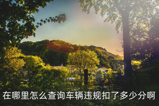 在哪里怎么查詢車輛違規扣了多少分啊