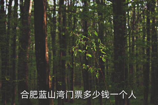 合肥藍(lán)山灣門票多少錢一個人