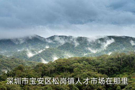 松崗人才市場，深圳市寶安區松崗鎮人才市場在那里