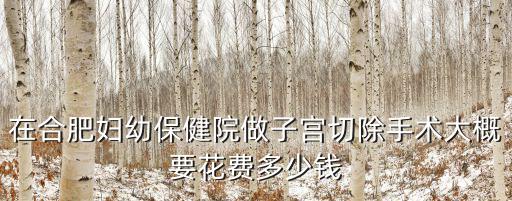 在合肥婦幼保健院做子宮切除手術大概要花費多少錢