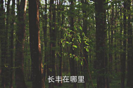 合肥長(zhǎng)豐縣，長(zhǎng)豐縣是不是合肥未來(lái)長(zhǎng)豐縣5年的發(fā)展情況怎么樣