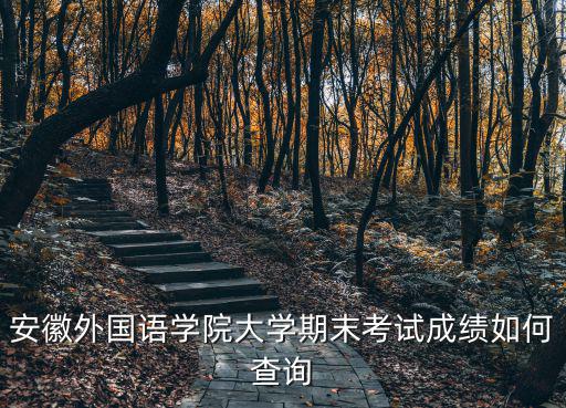 安徽外國語學院大學期末考試成績如何查詢