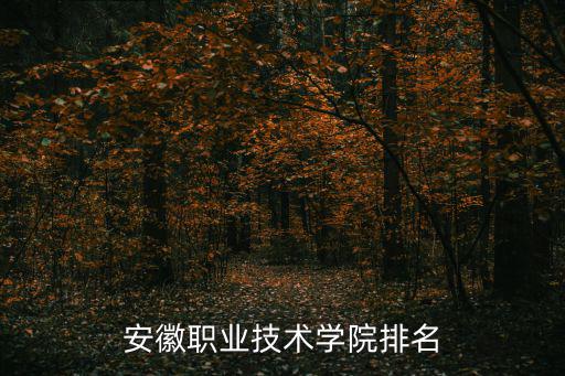 安徽職業技術學院排名