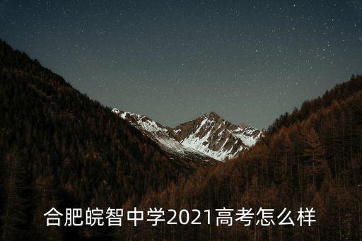 合肥皖智中學(xué)2021高考怎么樣