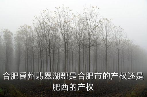 合肥禹州翡翠湖郡是合肥市的產權還是肥西的產權