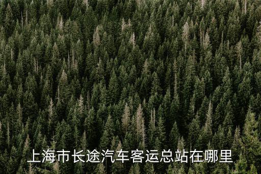 上海市長(zhǎng)途汽車客運(yùn)總站在哪里