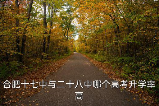 合肥十七中與二十八中哪個高考升學率高