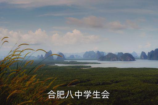 合肥八中學生會