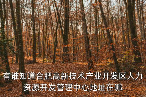 有誰知道合肥高新技術產業開發區人力資源開發管理中心地址在哪