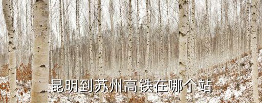 昆明到蘇州高鐵在哪個站