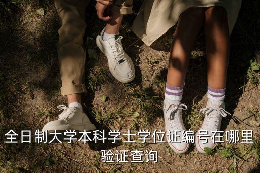 學位證書查詢系統，現在網上可以查詢學位證書了 誰知道成教的學位證書是不是也可以查到