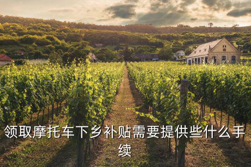 領(lǐng)取摩托車(chē)下鄉(xiāng)補(bǔ)貼需要提供些什么手續(xù)