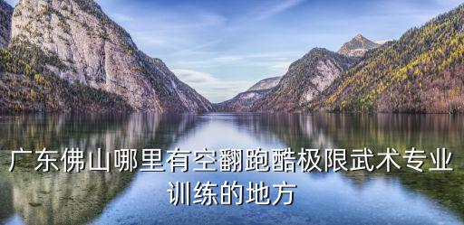廣東佛山哪里有空翻跑酷極限武術專業訓練的地方