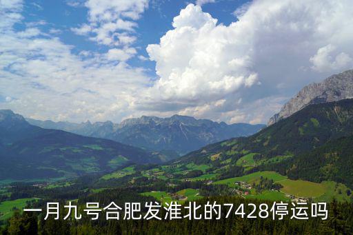 一月九號合肥發淮北的7428停運嗎