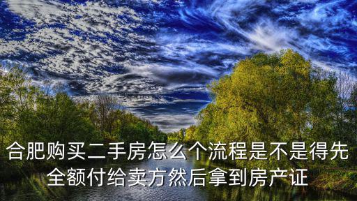 合肥購買二手房怎么個流程是不是得先全額付給賣方然后拿到房產(chǎn)證