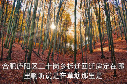合肥廬陽區(qū)三十崗鄉(xiāng)拆遷回遷房定在哪里啊聽說是在草塘那里是