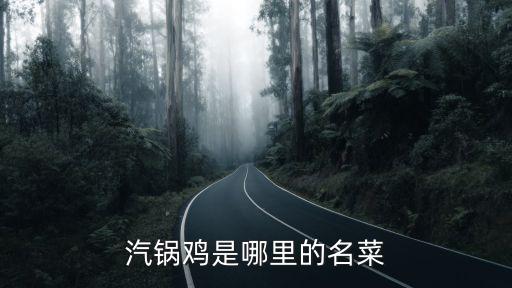 云南汽鍋雞，汽鍋雞以雞肉滋嫩湯汁鮮美富于營養(yǎng)而廣為流傳請問它是我國哪個(gè)