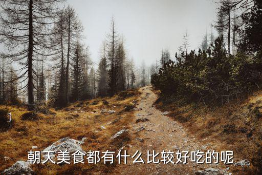 怒江美食，朝天美食都有什么比較好吃的呢