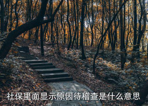 社保里面顯示原因待稽查是什么意思