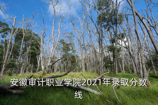 安徽審計(jì)職業(yè)學(xué)院，安徽審計(jì)職業(yè)學(xué)院2021年錄取分?jǐn)?shù)線