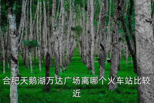 合肥天鵝湖萬達廣場離哪個火車站比較近