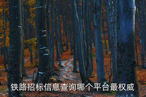 鐵路招標(biāo)信息查詢哪個(gè)平臺(tái)最權(quán)威