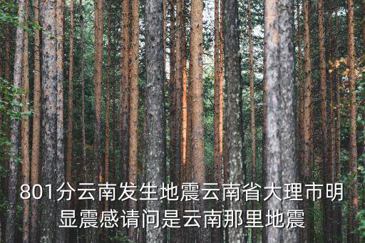 801分云南發(fā)生地震云南省大理市明顯震感請問是云南那里地震