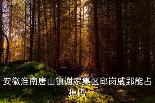 邱崗，以黃健芳這名字分別插入一首七言絕句的前三句首字做成藏頭詩  搜