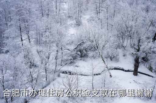 合肥住房公積金管理中心官網，合肥市辦理住房公積金支取在哪里謝謝