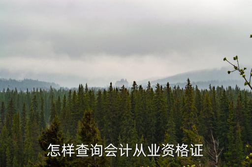 會(huì)計(jì)證查詢，會(huì)計(jì)證查詢網(wǎng)上查詢