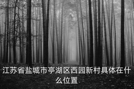 江蘇省鹽城市亭湖區(qū)西園新村具體在什么位置