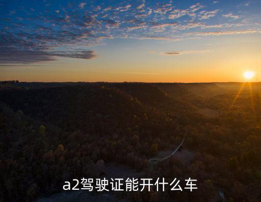 a2駕駛證能開什么車
