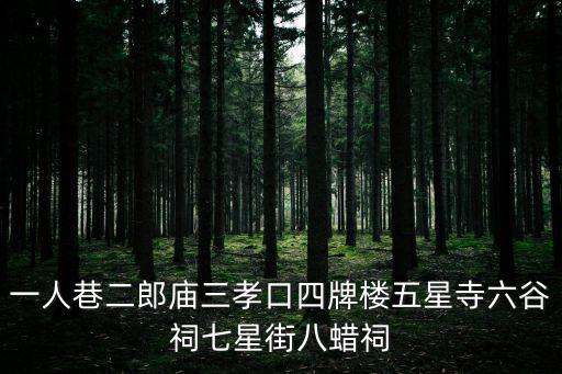 一人巷，中國世界上最小巷幾米