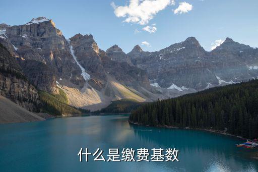 什么是繳費基數