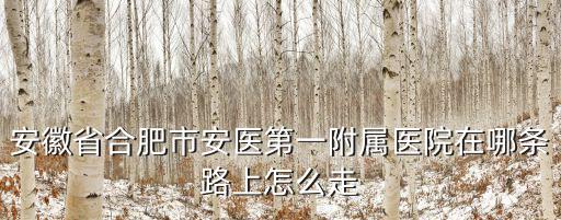 安徽省合肥市安醫第一附屬醫院在哪條路上怎么走