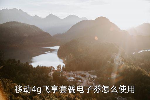 電子券怎么使用，移動4g飛享套餐電子劵怎么使用