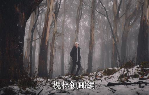 槐林鎮(zhèn)郵編